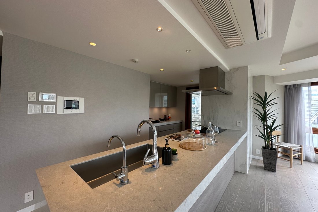 Condo in Minato City, Tokyo, Japan 4 - 17238881