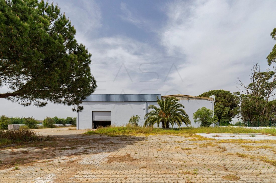 Sado, Setubal, Portugal 2 - 18156670