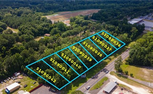 Land in Springfield, Georgia, United States 1