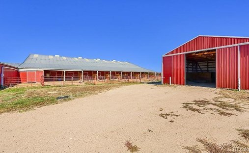 House in Watkins, Colorado, United States 1