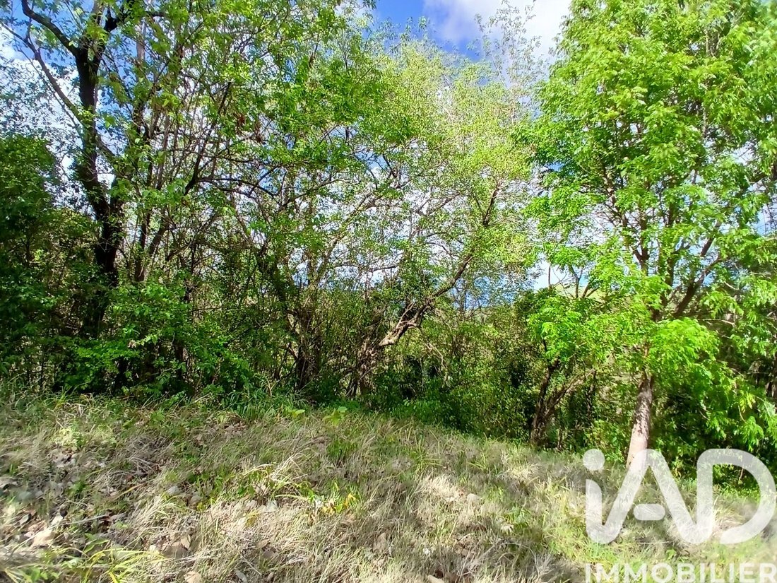 Land in France 2 - 18161309