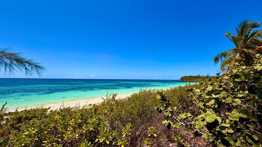Land in Zonicles, Cat Island, The Bahamas 4 - 18154966