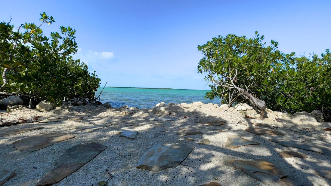 House in Key West, Florida, United States 5 - 18157753