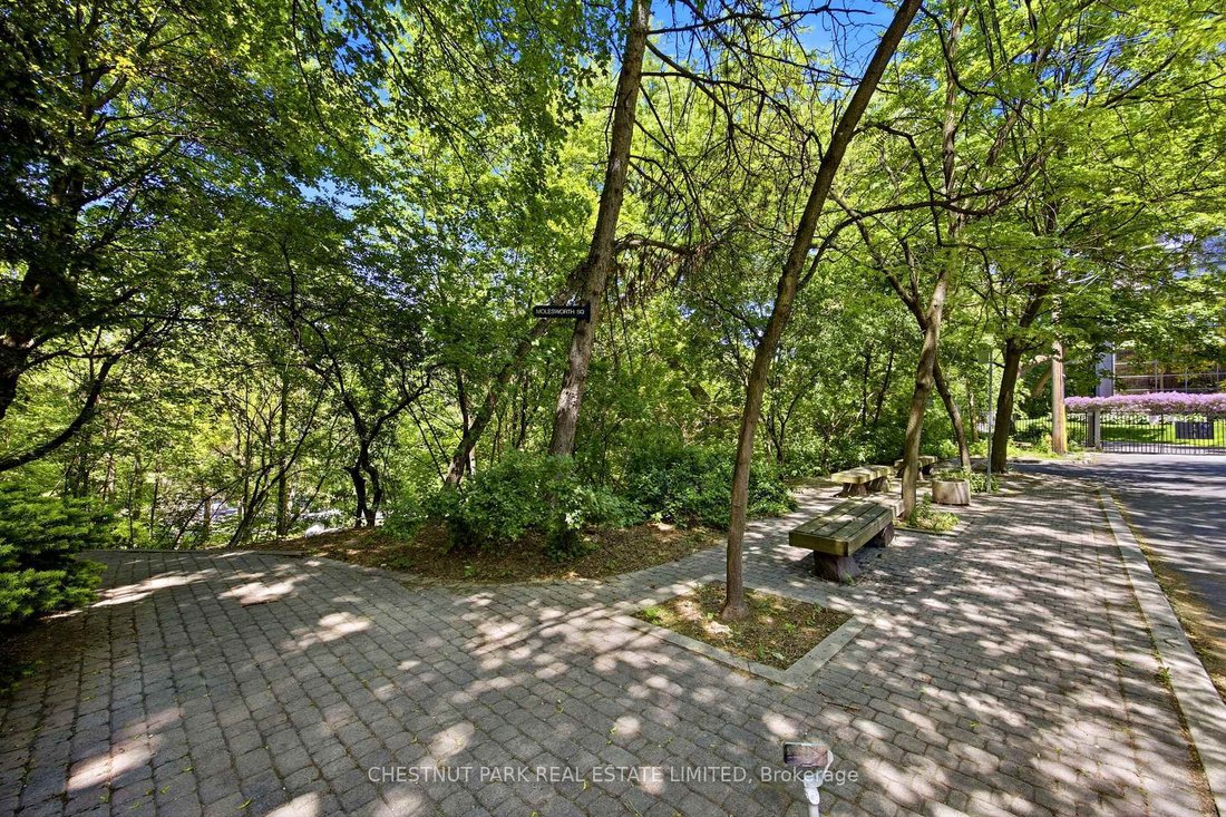 House in Toronto, Ontario, Canada 5 - 18163908