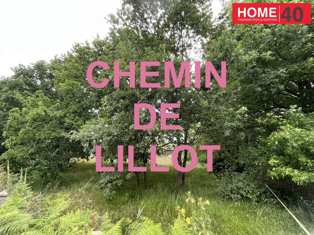 Apartment in Sanguinet, Nouvelle-Aquitaine, France 2 - 17432786