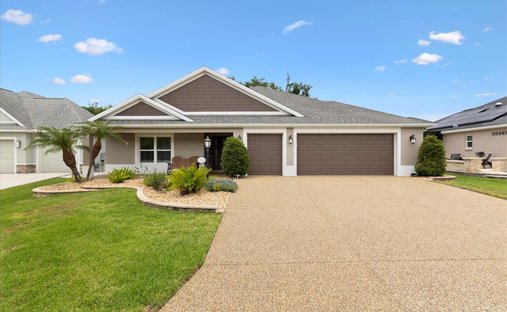 House in The Villages, Florida, United States 1