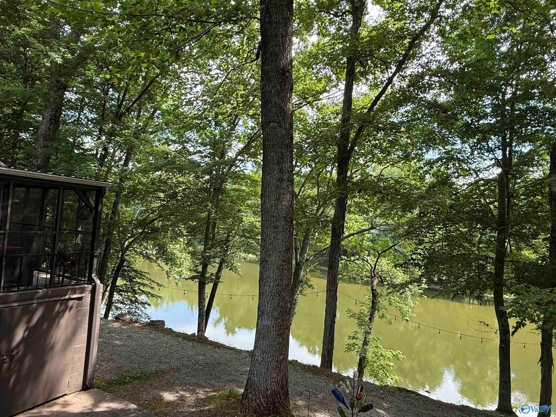 House in Rogersville, Alabama, United States 5 - 18154281