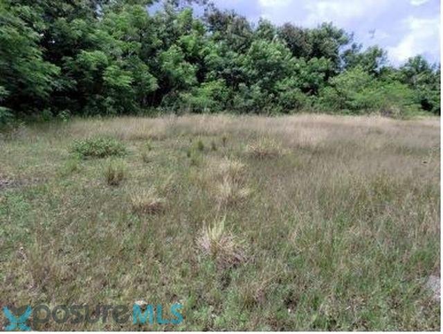 Land in Guaynabo, Guaynabo, Puerto Rico 3 - 18155653