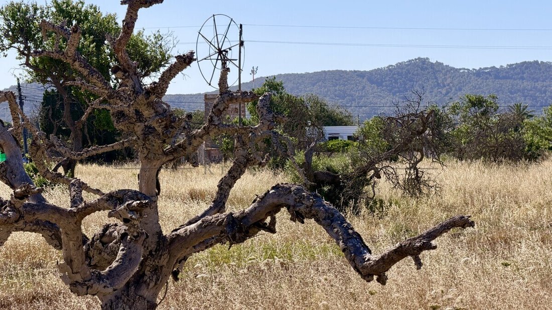 Land in Sant Josep de sa Talaia, Balearic Islands, Spain 3 - 17910803