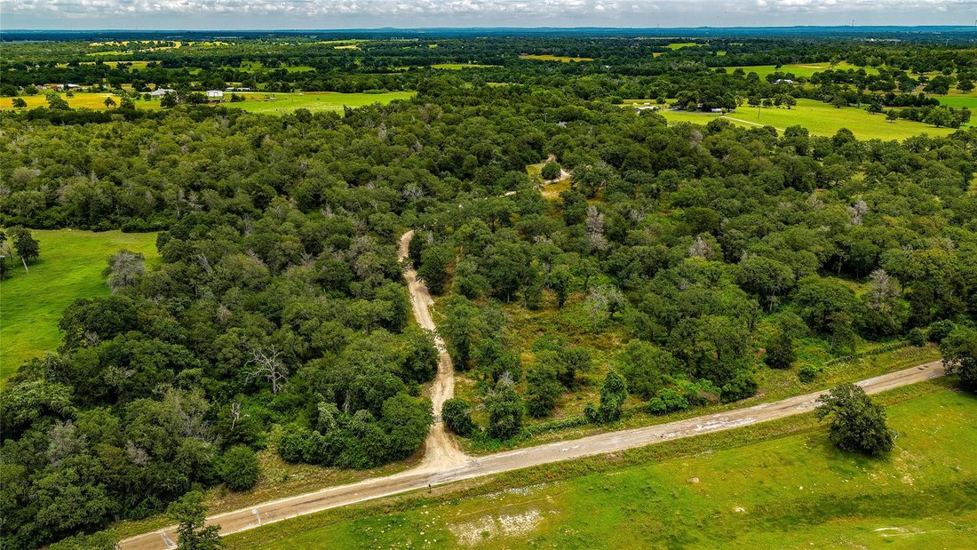 House in Davilla, Texas, United States 5 - 18167035