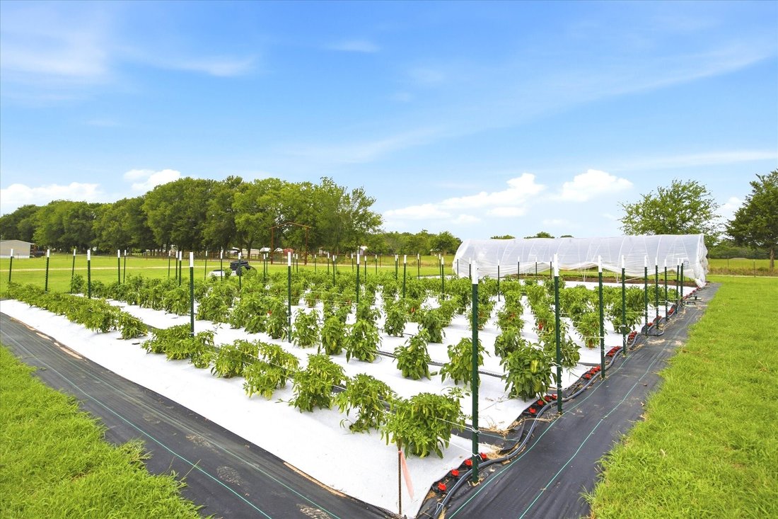 Azienda agricola a Emory, Texas, Stati Uniti 1 - 18160071