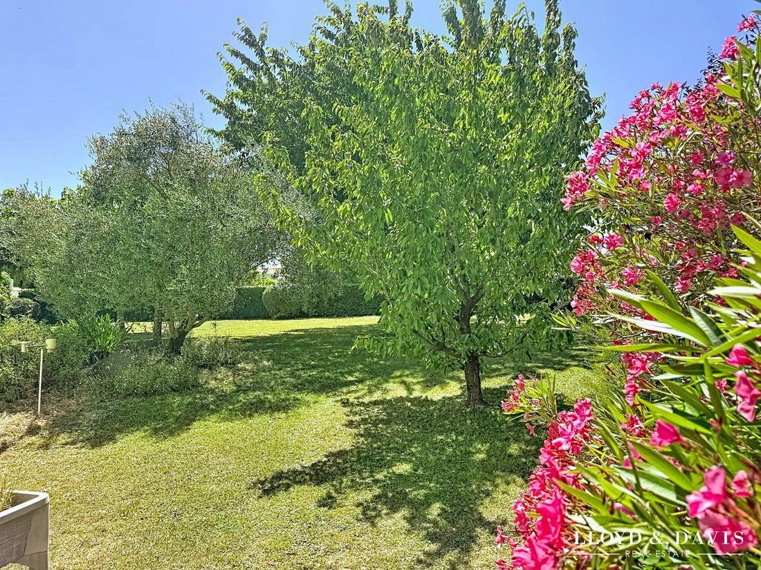 House in Meschers-sur-Gironde, Nouvelle-Aquitaine, France 5 - 17468719