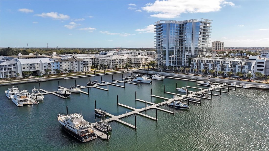 Condo in Tampa, Florida, United States 1 - 18166897