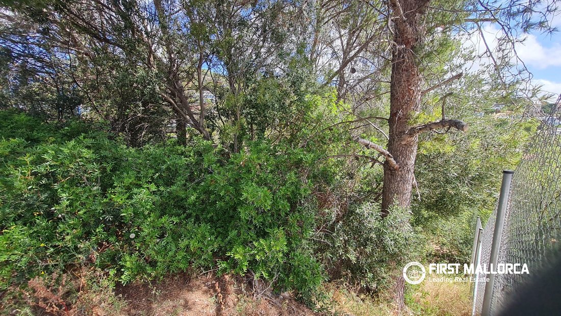 Terreno a Costa d'en Blanes, Calvià, Isole Baleari 4 - 18155667