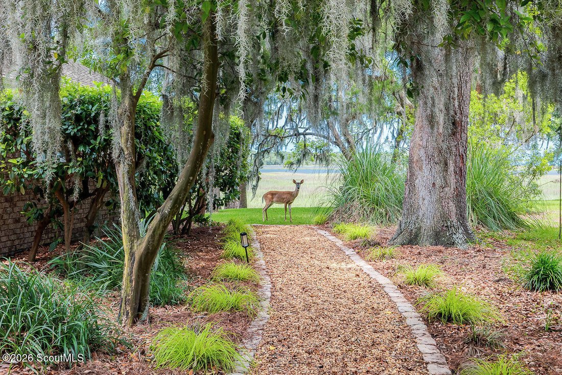 House in Barbour Island, Georgia, United States 4 - 18166997