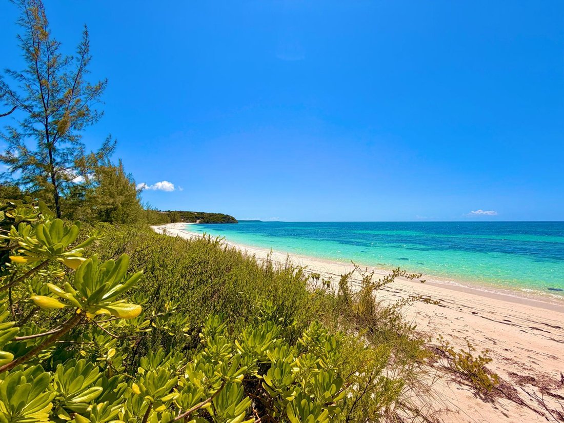 Land in Zonicles, Cat Island, The Bahamas 1 - 18154966