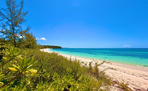 Land in Zonicles, Cat Island, The Bahamas 1