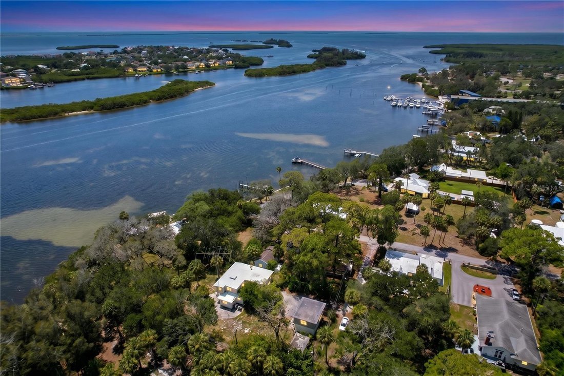 House in Tarpon Springs, Florida, United States 5 - 18158606