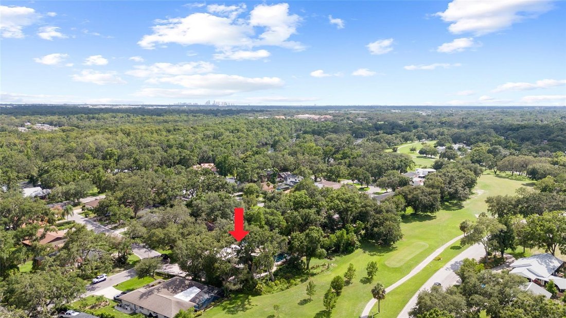 House in Tampa, Florida, United States 5 - 18158550