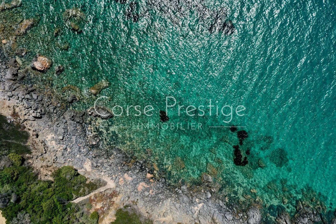 Villa in Propriano, Corsica, France 4 - 14512733