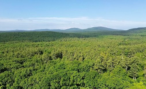Land in Lyndeborough, New Hampshire, United States 1