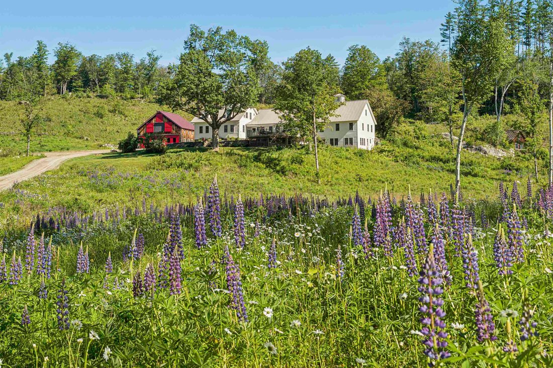 House in Londonderry, Vermont, United States 3 - 17285365