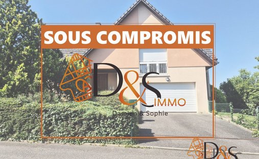 House in Sud, Riedisheim, France 1