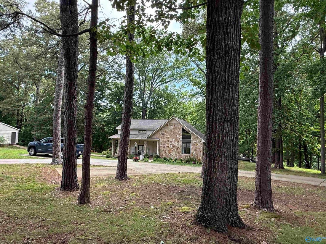 House in Rogersville, Alabama, United States 2 - 18154281