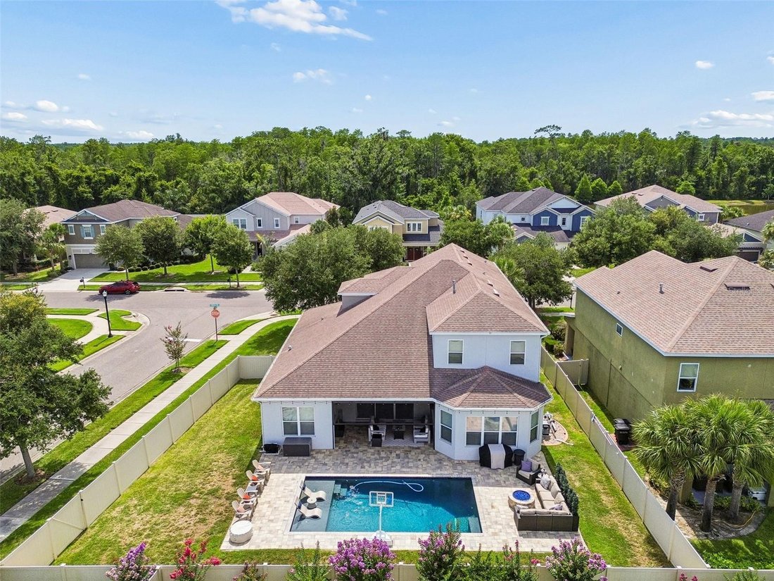 House in Land O' Lakes, Florida, United States 2 - 18155304