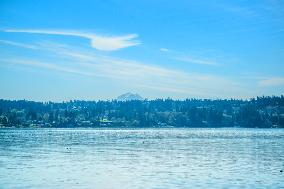 House in Vashon, Washington, United States 3 - 18160310