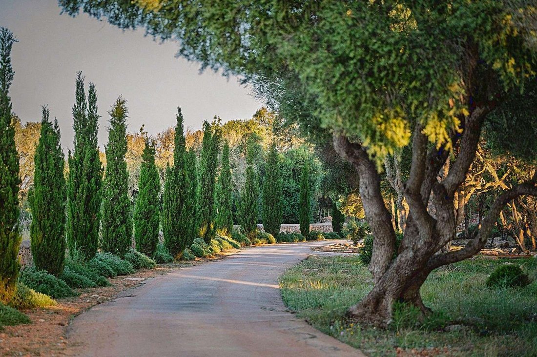 Villa in Llucmajor, Balearic Islands, Spain 5 - 16921844