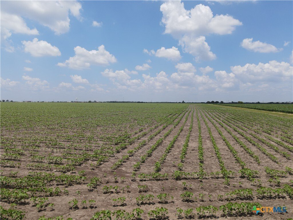 Farm Ranch in Seguin, Texas, United States 2 - 18157190