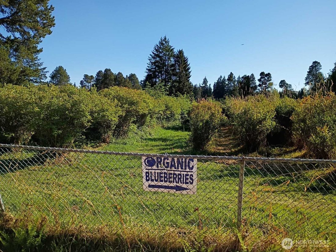 Land in Auburn, Washington, United States 4 - 15897013