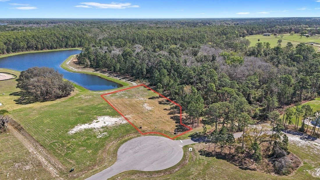 House in Eustis, Florida, United States 5 - 18158580