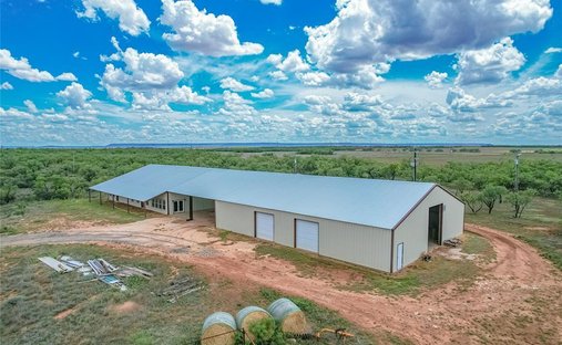 Azienda agricola a Trent, Texas, Stati Uniti 1