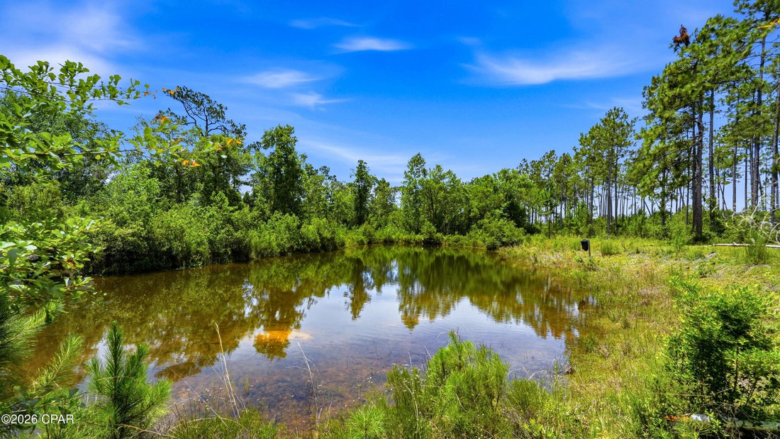House in Alford, Florida, United States 4 - 18159459