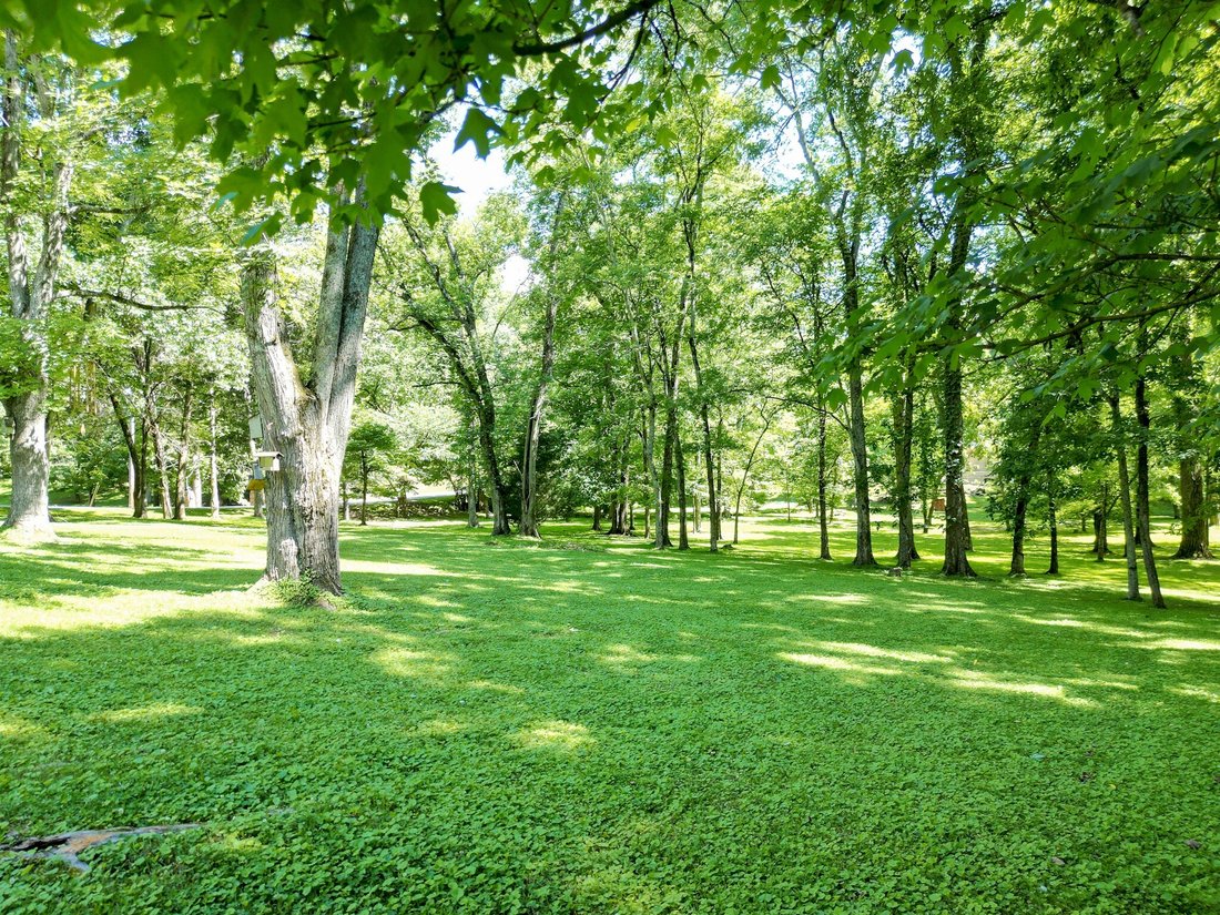 House in Columbia, Tennessee, United States 3 - 18159915