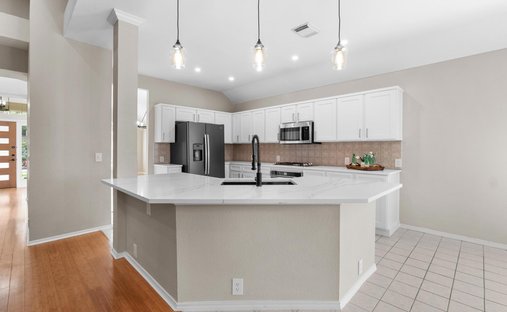 House in Austin, Texas, United States 1