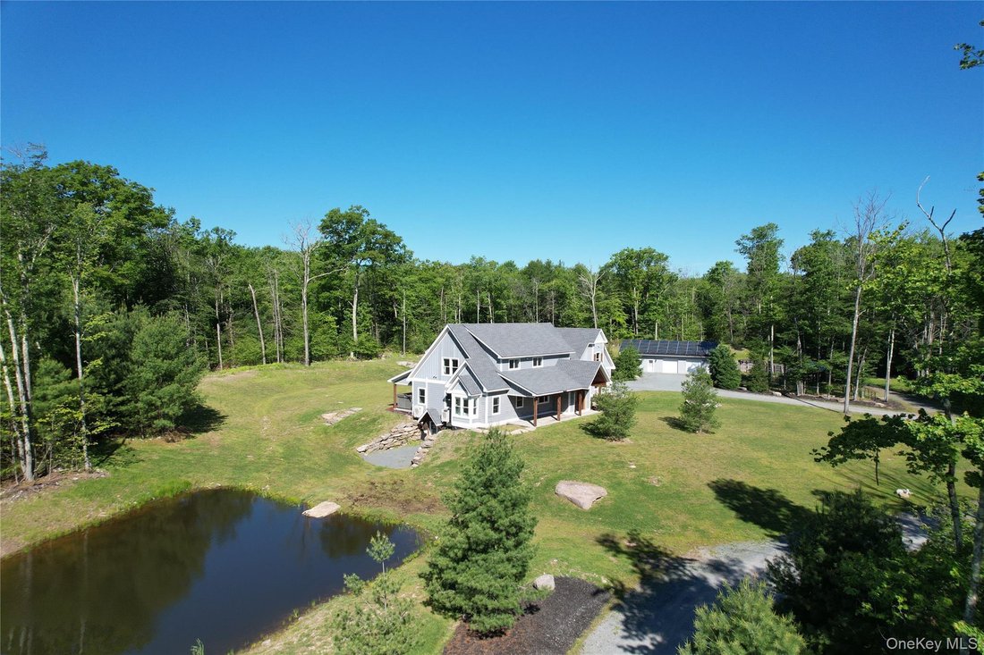 House in Forestburgh, New York, United States 1 - 16980335