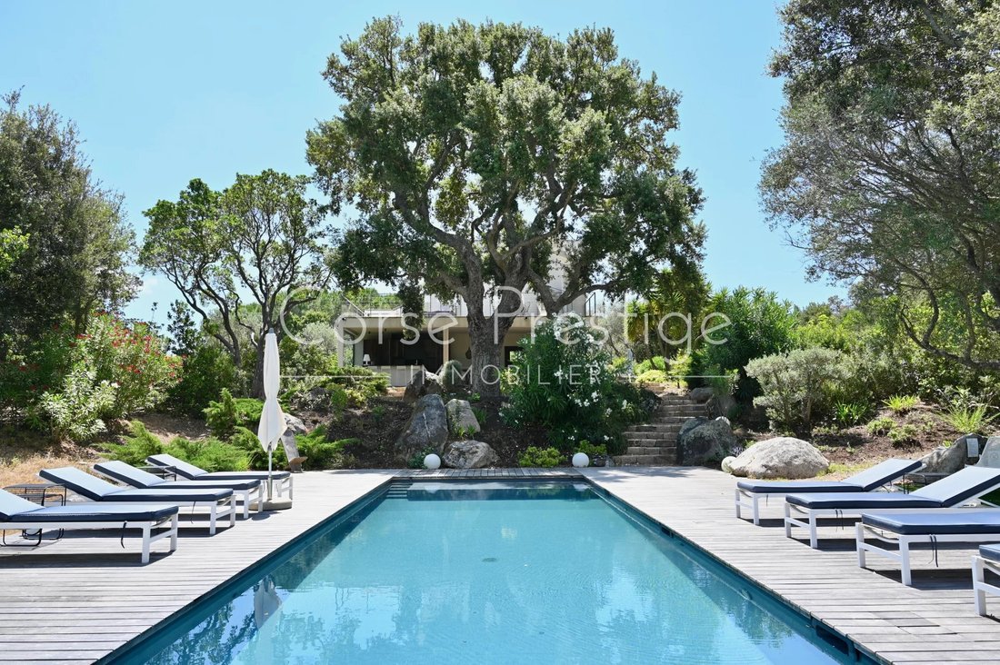 Villa in Zonza, Corsica, France 4 - 14419698