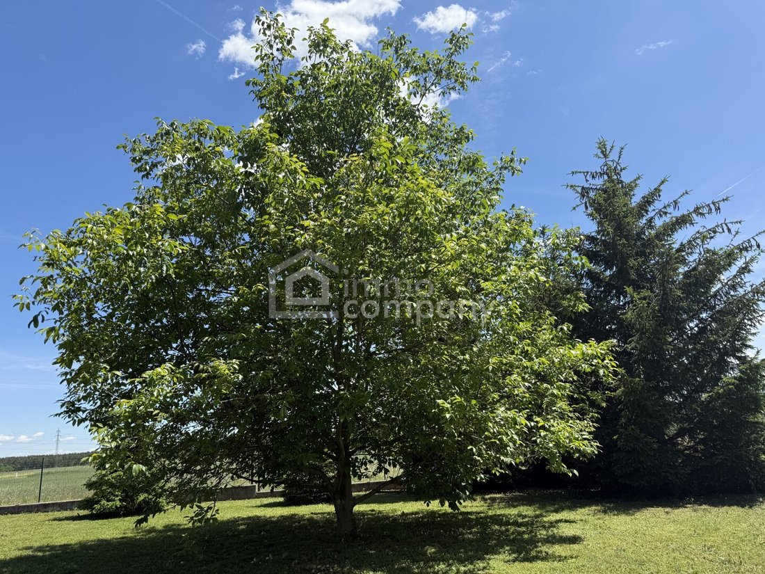 House in Neunkirchen, Lower Austria, Austria 5 - 18156872