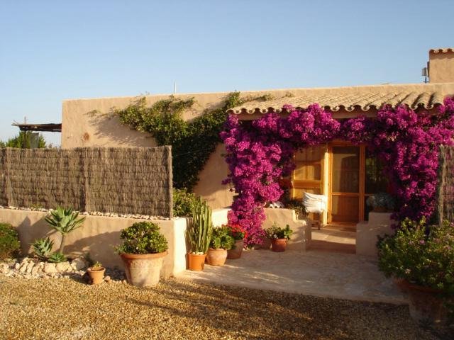 Finca in Formentera, Balearic Islands, Spain 3 - 17904494