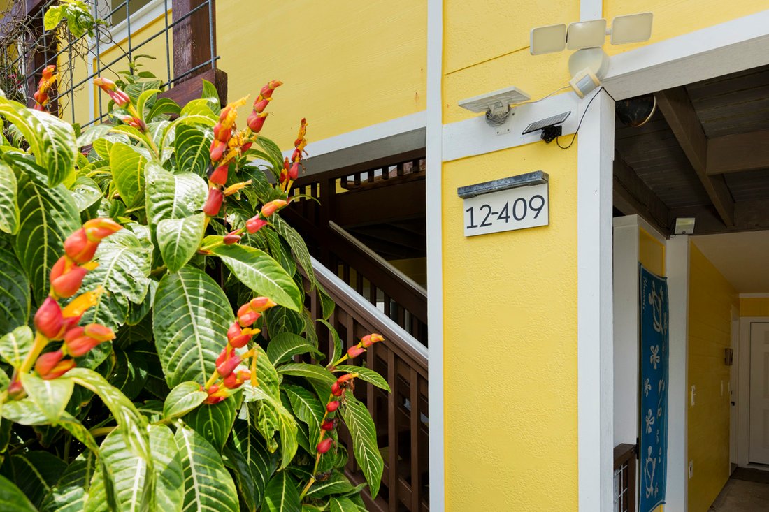 House in Pāhoa, Hawaii, United States 3 - 18162724