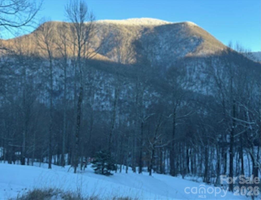 House in Maggie Valley, North Carolina, United States 5 - 18107104