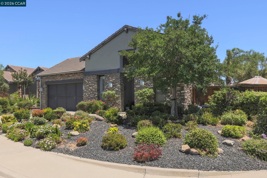 House in Brentwood, California, United States 1 - 18163751