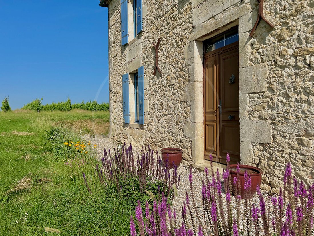 Villa in Sauveterre-de-Guyenne, Nouvelle-Aquitaine, France 4 - 18155939