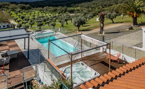 Farm Ranch in Estremoz (Santa Maria e Santo Andre), Distrikt Évora, Portugal 1