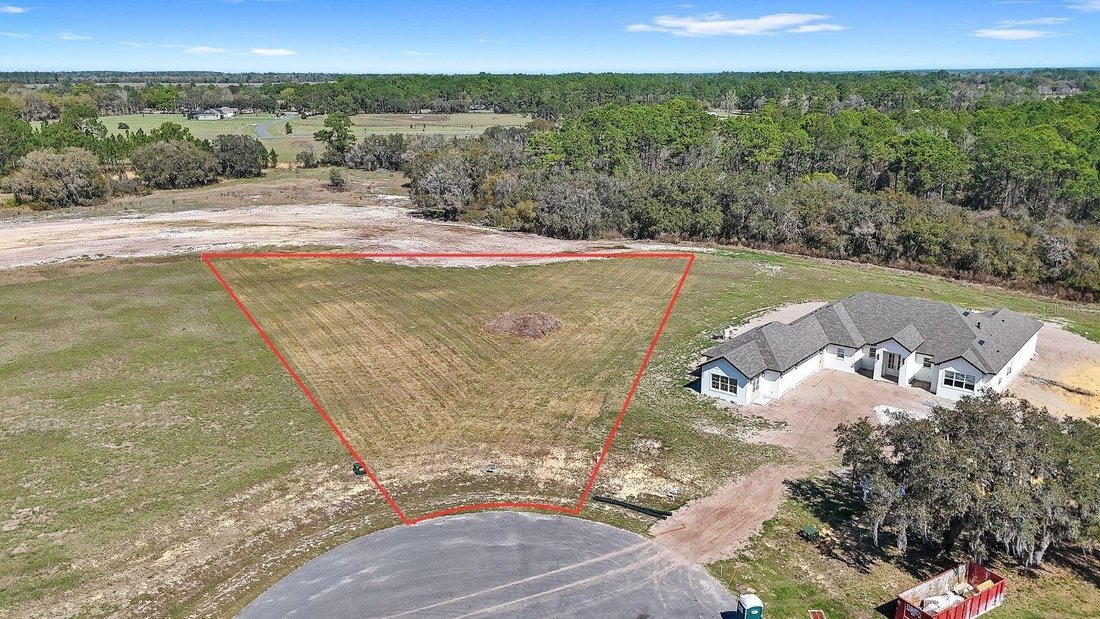 House in Umatilla, Florida, United States 4 - 18158602
