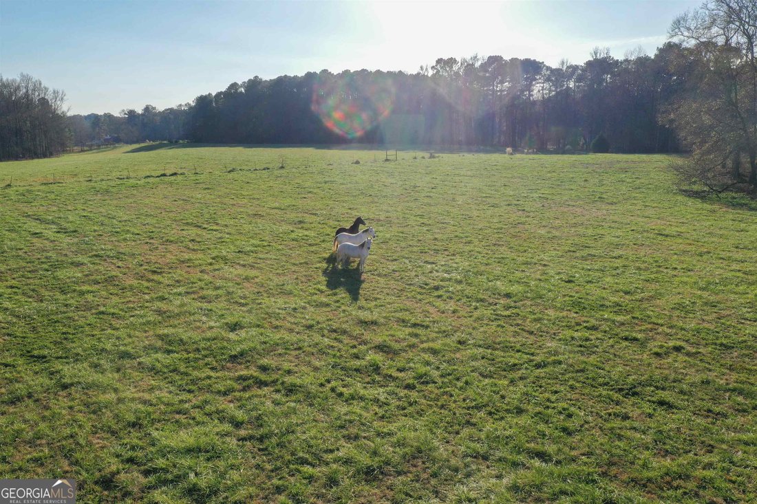 Farm Ranch in Fayetteville, Georgia, United States 5 - 18167178
