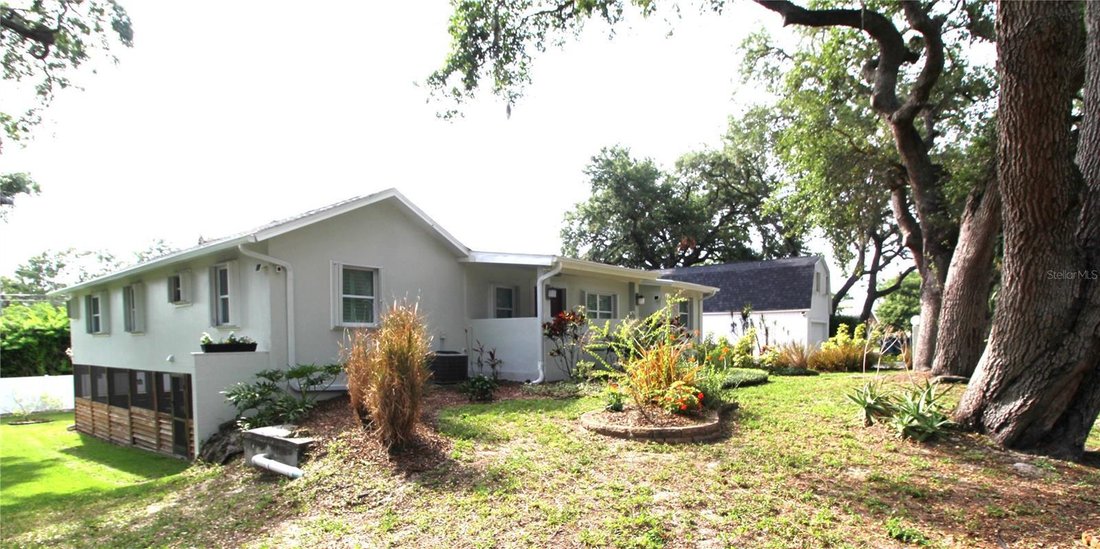 House in Safety Harbor, Florida, United States 3 - 18158612